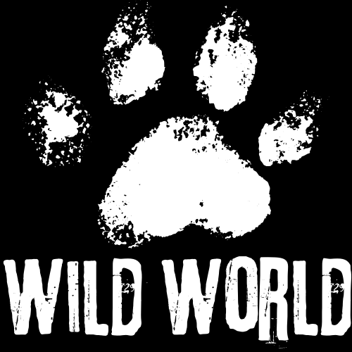 WildWorldProyect